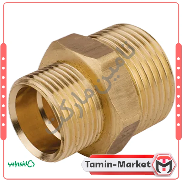مغزی تبدیلی